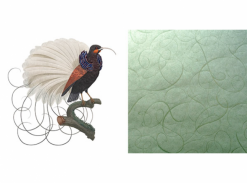 Extinct Animals - Calligraphy Bird