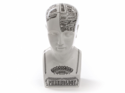 Figurky a sochy Phrenology