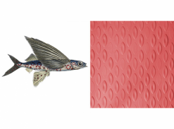 Extinct Animals - Flying Coral Fish