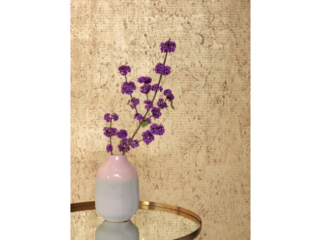 Tapeta Pierre Frey - Coupole