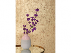 Tapeta Pierre Frey - Coupole