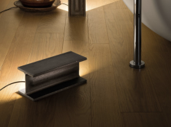 MAIS PLUS QUE CELA JE NE PEUX PAS