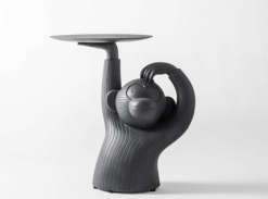 Odkládací stolek Monkey