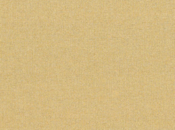 Textilie White Shantung