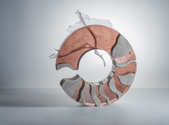 Zuzana Kubelková - Shrimp