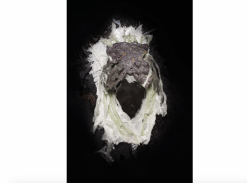 Zuzana Kubelková - El Cuco I