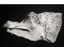 Zuzana Kubelková - Medrana II