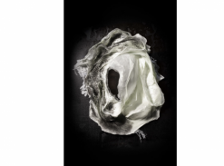 Zuzana Kubelková - El Cuco III