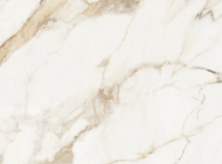 Dlaždice CALACATTA GOLD