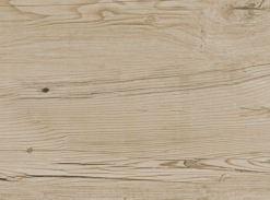 Dlažba FOREST MAPLE