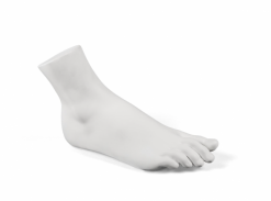 Dekorace Memorabilia Mvsevm Male Foot