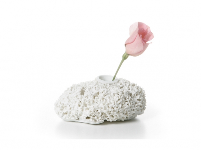 Sponge Vase Sponge Vase