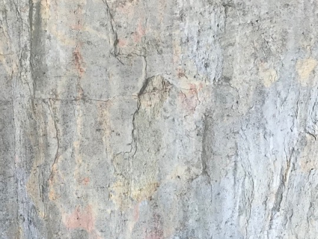 Slate Lite Burning Forrest