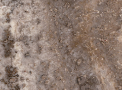 Travertin - Brown Silver