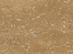 Travertin - Noce Dark